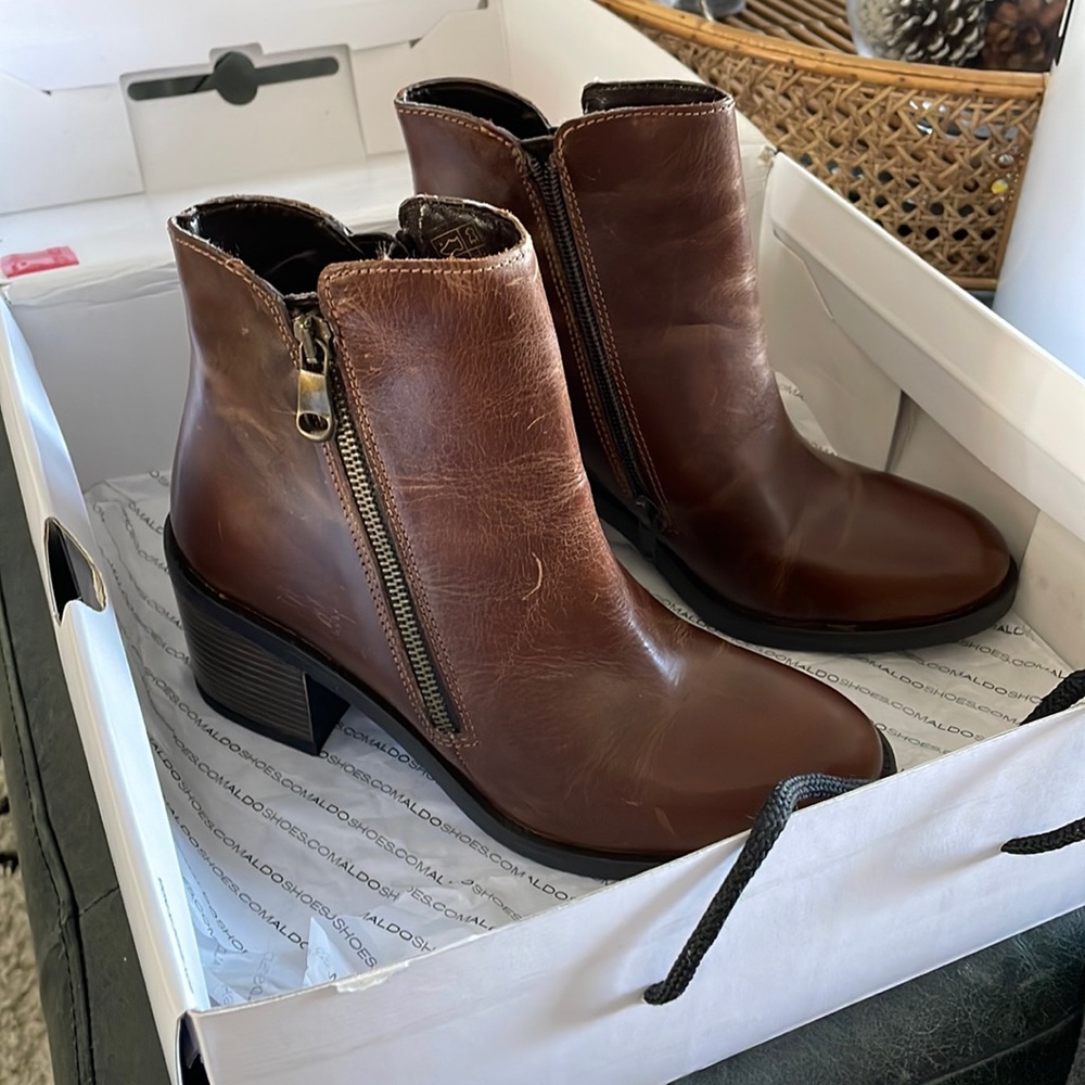 Aldo Brown Etelilla Booties